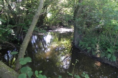 51.-Downstream-from-The-Barton-Footbridge