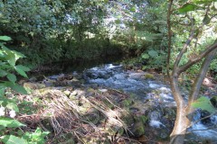 52.-Weir-upstream-ROW-Bridge-5431