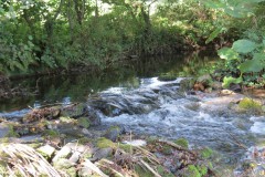 53.-Weir-upstream-ROW-Bridge-5431