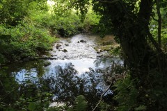 54.-Weir-upstream-ROW-Bridge-5431