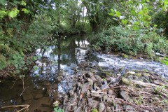 55.-Weir-upstream-ROW-Bridge-5431