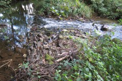56.-Weir-upstream-ROW-Bridge-5431