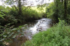 57.-Upstream-from-ROW-bridge-5431
