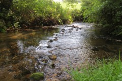 58.-Upstream-from-ROW-bridge-5431