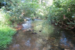 59.-Upstream-from-ROW-bridge-5431