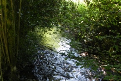 6.-Downstream-from-Huish-Bridge