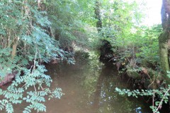 60.-Looking-upstream-from-ROW-bridge-5431