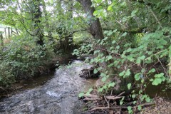 64.-Downstream-from-ROW-bridge-5431
