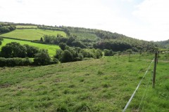 66.-Tone-Valley-upstream-from-Washbattle