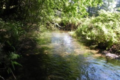 7.-Downstream-from-Huish-Bridge
