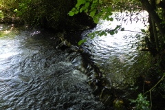 8.-Downstream-from-Huish-Bridge