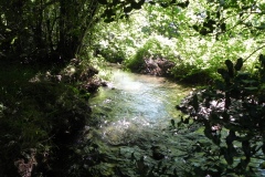 9.-Downstream-from-Huish-Bridge