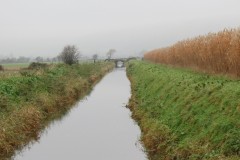 10.-Upstream-from-Stubbingham-Grove-10