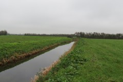 10.-Upstream-from-Stubbingham-Grove-12