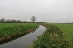 10.-Upstream-from-Stubbingham-Grove-15