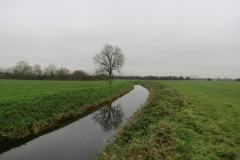 10.-Upstream-from-Stubbingham-Grove-16