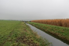 10.-Upstream-from-Stubbingham-Grove-2