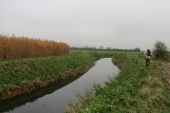 10.-Upstream-from-Stubbingham-Grove-7