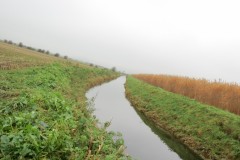 10.-Upstream-from-Stubbingham-Grove-8