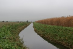 10.-Upstream-from-Stubbingham-Grove-9