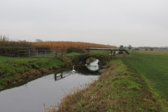 13.-Looking-upstream-to-Stubbington-Grove-bridge