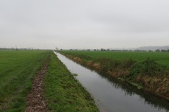 22.-Upstream-from-Prowses-Lane-2