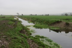 22.-Upstream-from-Prowses-Lane-3