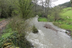 1. Upstream from Greenland Lane Bridge