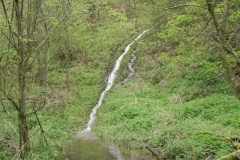 10. Rivulet joins from Cleeve Copse