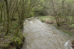 12. Looking upstream from Cleeve Copse ROW Bridge