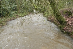 15. Looking downstream from Cleeve Copse ROW Bridge