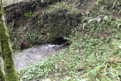 18. Tributary stream joins from Rookery Wood