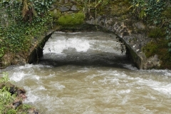 2. Greenland Lane Bridge upstream arch