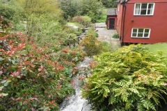 20. Tributary stream joins from Rookery Wood