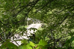 23. Roadwater Fishery Bridge