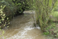 24. Looking upstream from ROW Bridge 2903