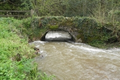 3. Greenland Lane Bridge upstream arch