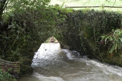 7. Greenland Lane Bridge downstream arch