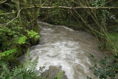 8. Looking downstream from Greenland Lane Bridge