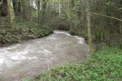 9. Downstream from Greenland Lane Bridge