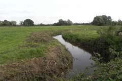 14.-Downstream-View-from-Perrys-Bridge