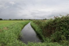 17.-Drainage-ditch-joins-the-River-Banwell-1