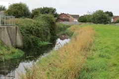 18.-Upstream-from-Lansdown-Gardens-footbridge-3