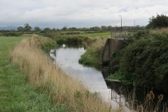 18.-Upstream-from-Lansdown-Gardens-footbridge-4