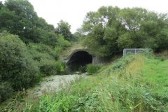 2.-M5-bridge-downstream-arch