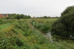 5.-Downstream-from-M5-1