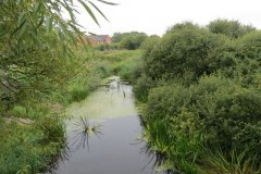5.-Downstream-from-M5-2