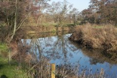 11.-Downstream-from-Mudford-Bridge