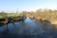 21.-Downstream-from-Mudford-Weir