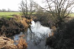 22.-Looking-Downstream-from-Ashington-Bridge